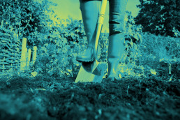 Digging with a spade